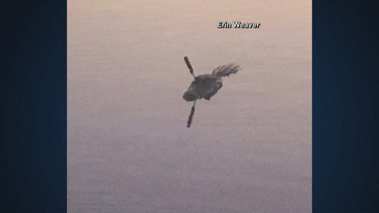 Neighbors at Texas lake concerned after spotting gator with knife sticking out of its head